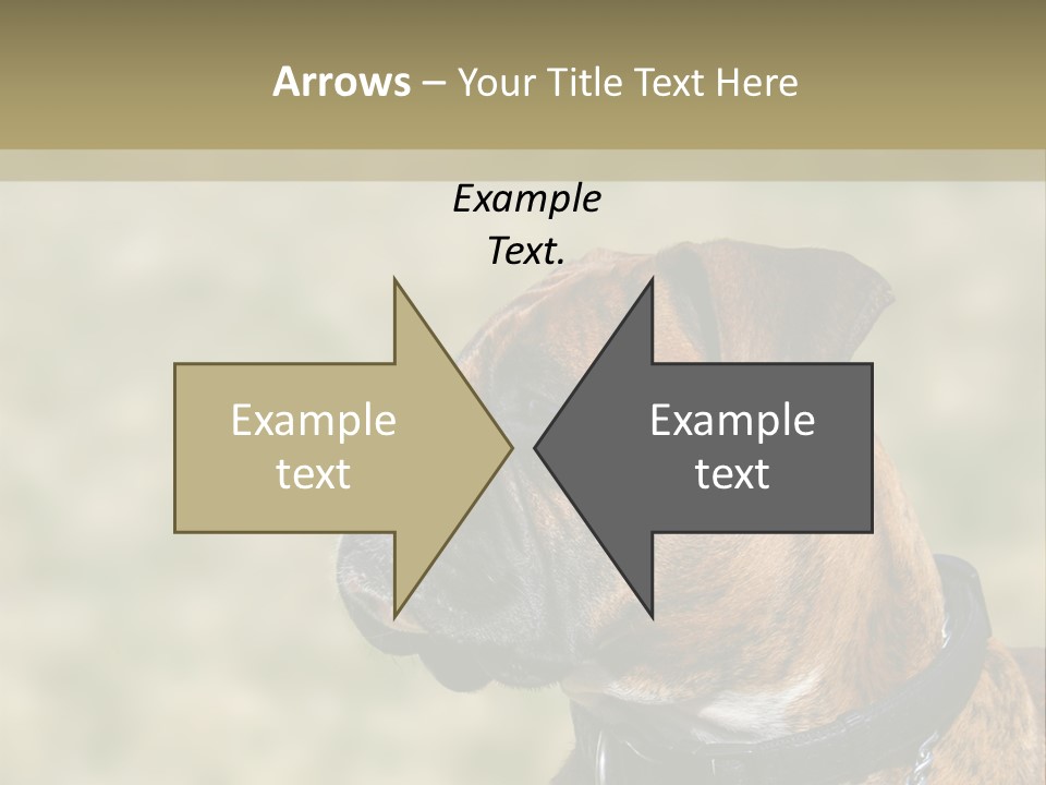 Nature Residential Business PowerPoint Template
