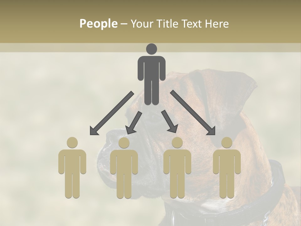 Nature Residential Business PowerPoint Template