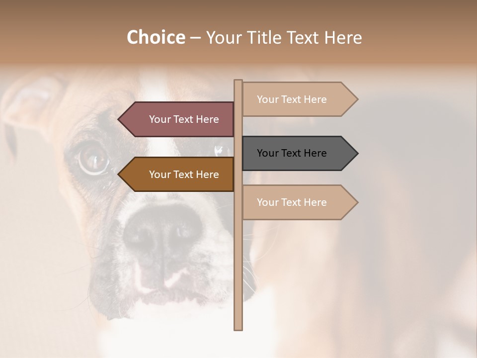 Grass Human Hand Small PowerPoint Template