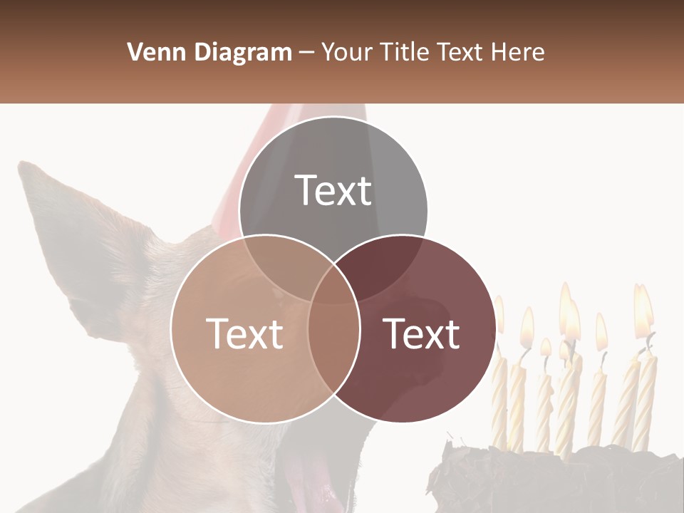 Blue Sky Home Small PowerPoint Template