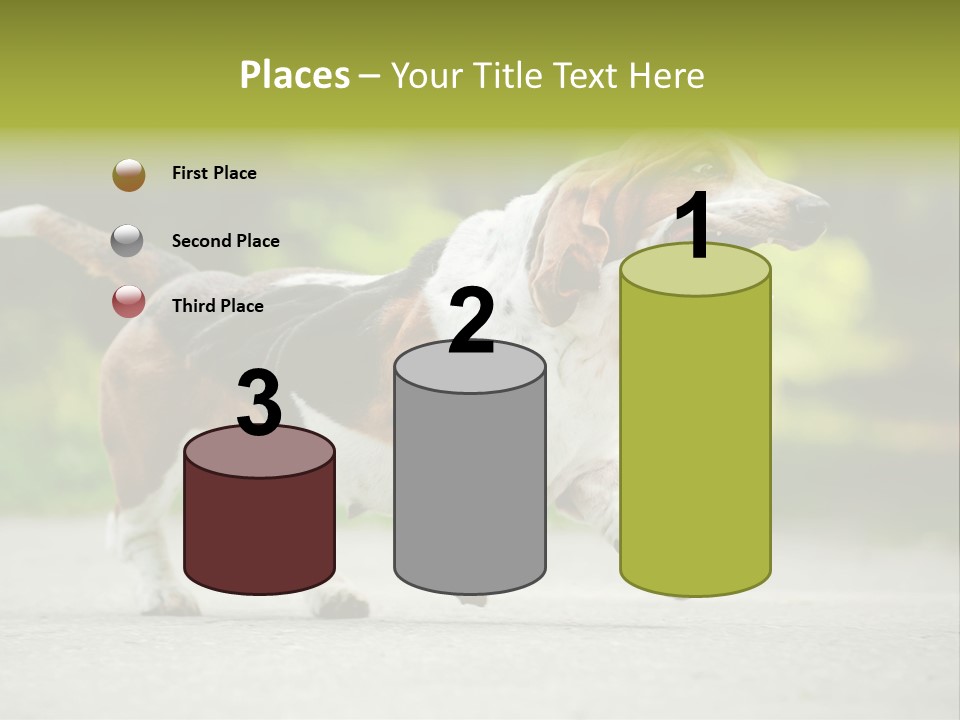 Park Leaf New PowerPoint Template