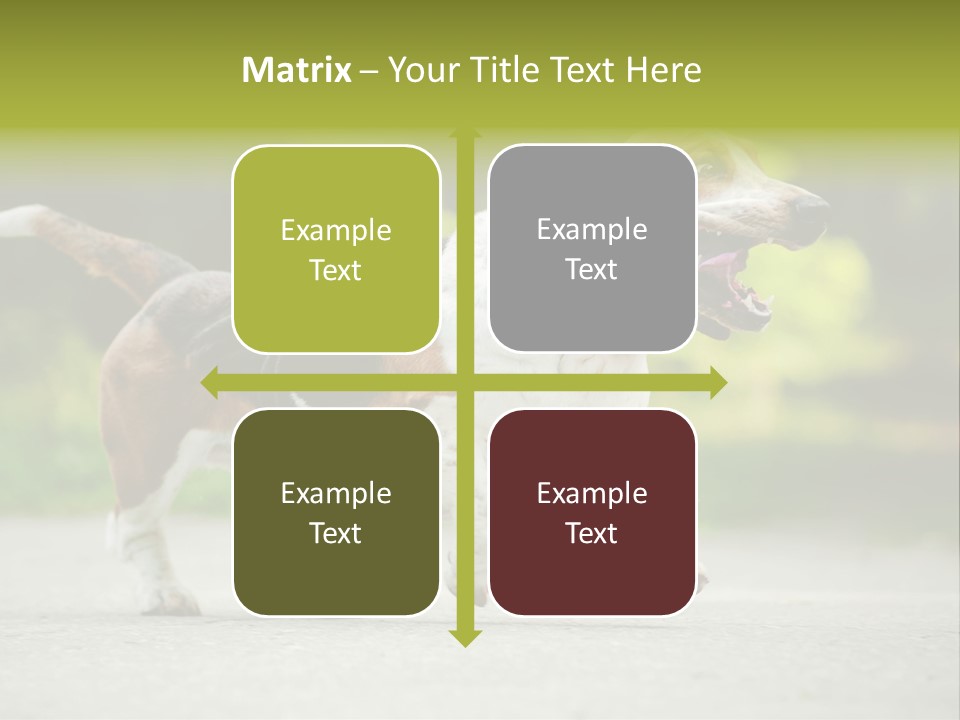 Park Leaf New PowerPoint Template