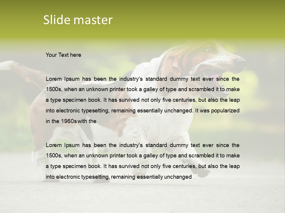 Park Leaf New PowerPoint Template
