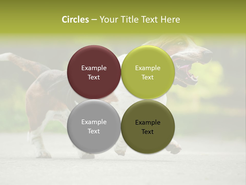 Park Leaf New PowerPoint Template