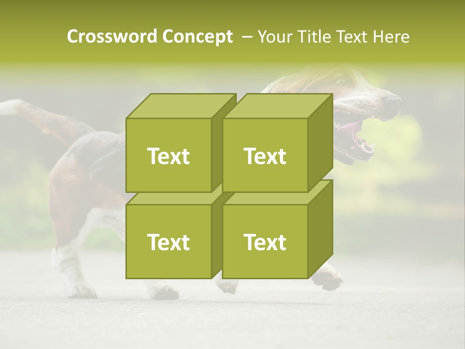 Park Leaf New PowerPoint Template