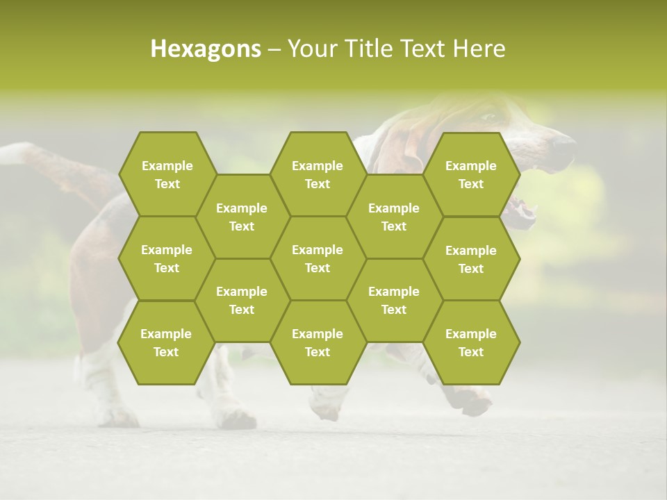 Park Leaf New PowerPoint Template