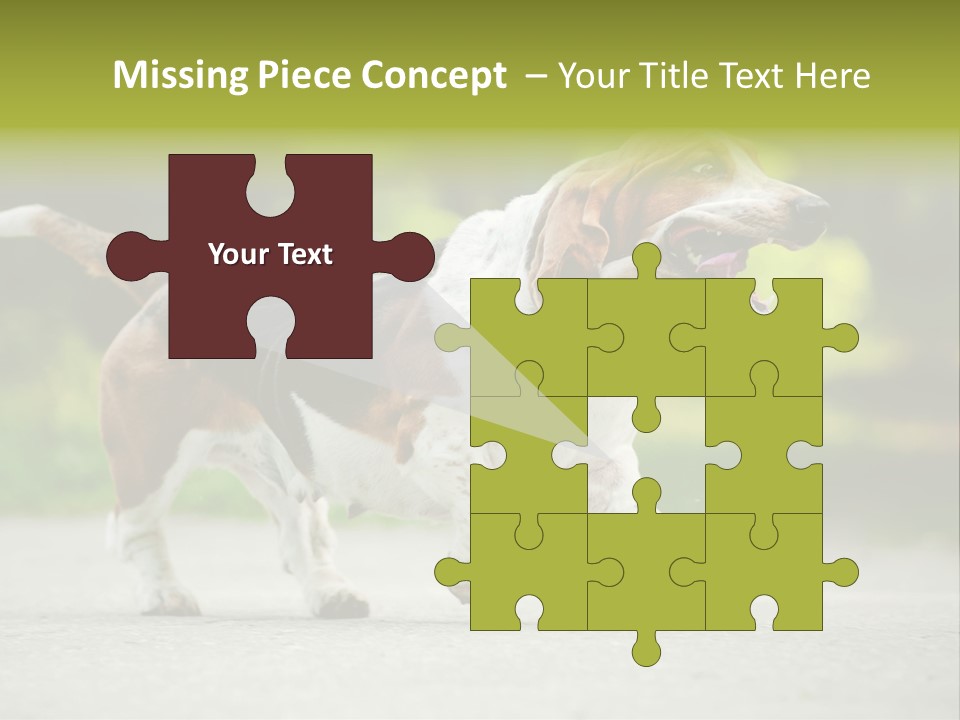 Park Leaf New PowerPoint Template