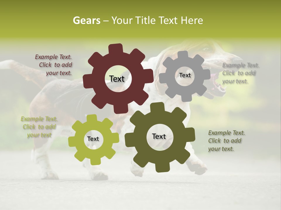 Park Leaf New PowerPoint Template