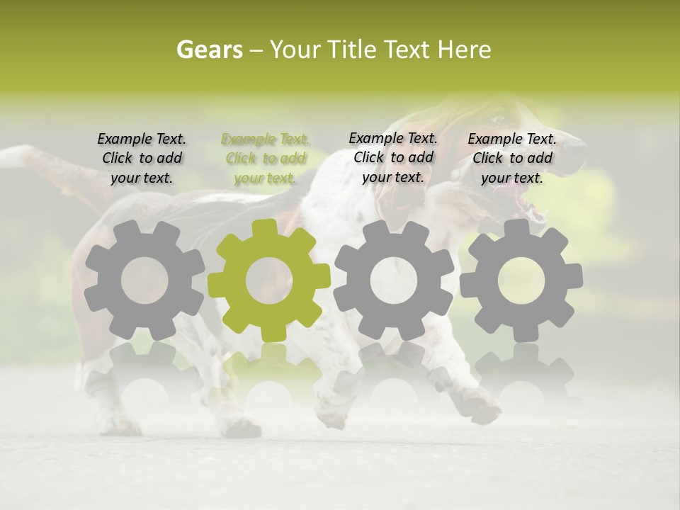 Park Leaf New PowerPoint Template