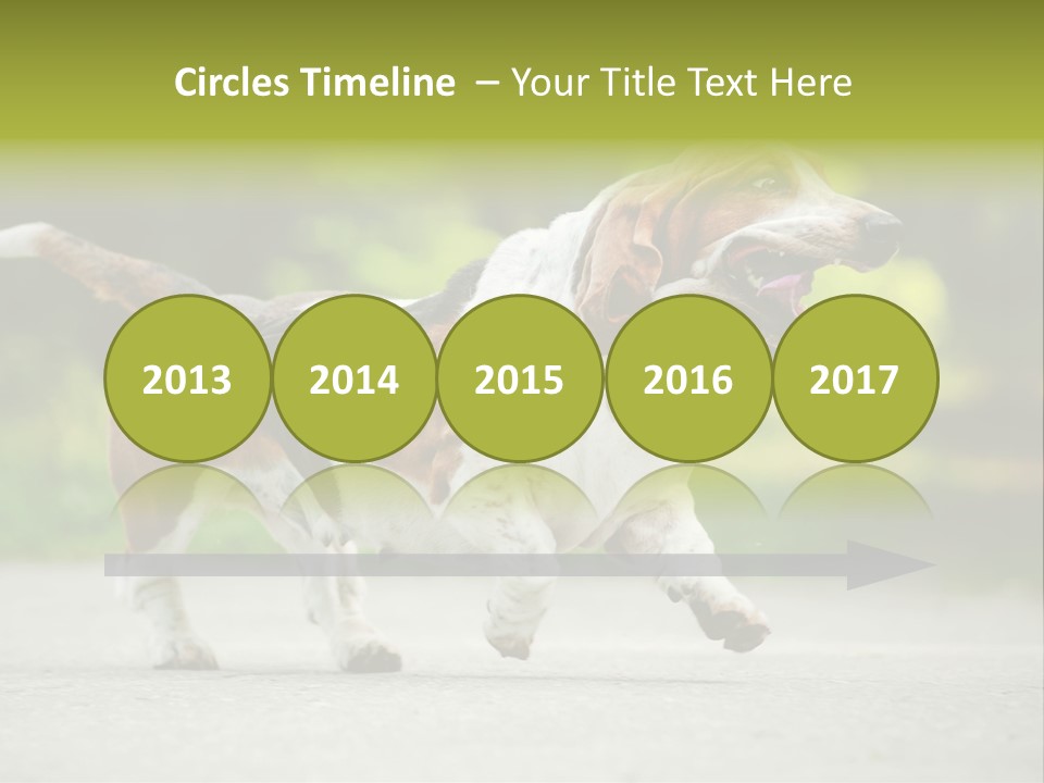 Park Leaf New PowerPoint Template