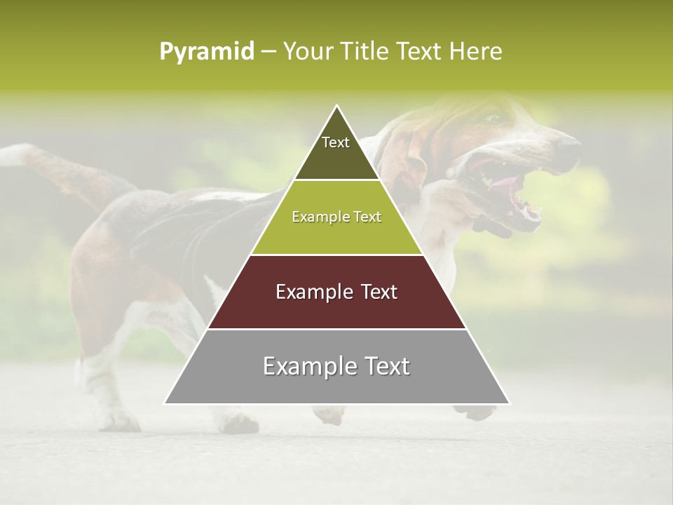 Park Leaf New PowerPoint Template