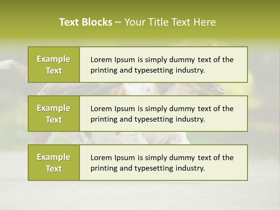Park Leaf New PowerPoint Template