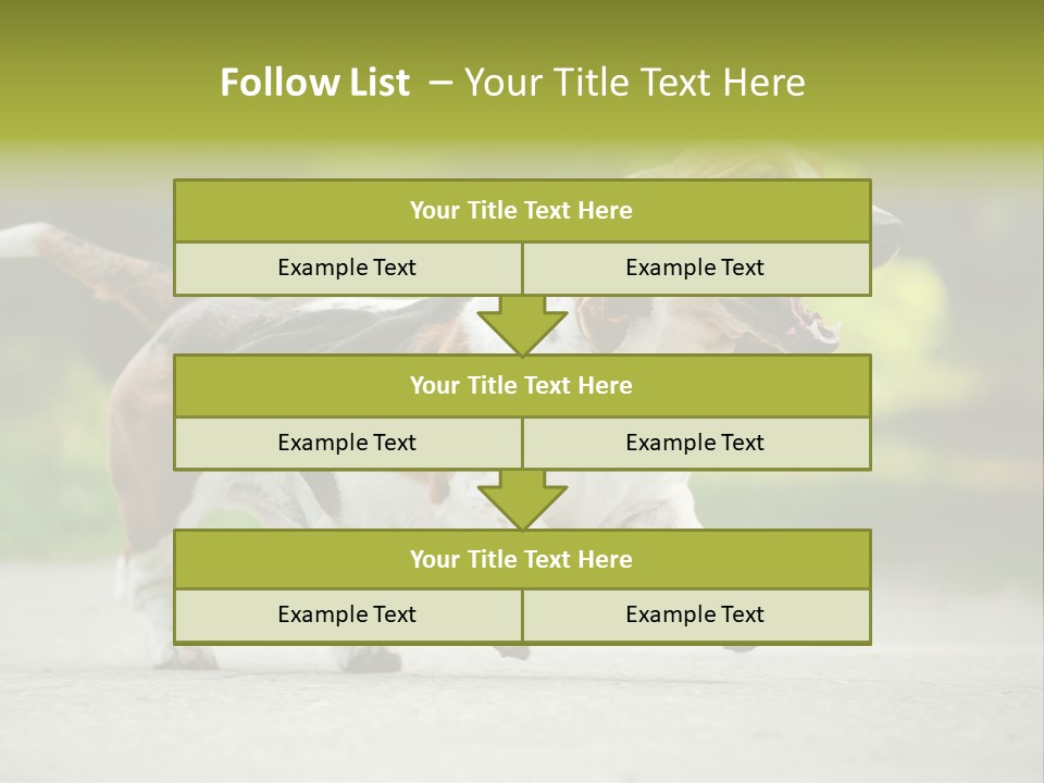 Park Leaf New PowerPoint Template