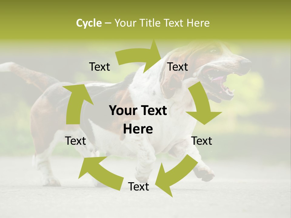 Park Leaf New PowerPoint Template