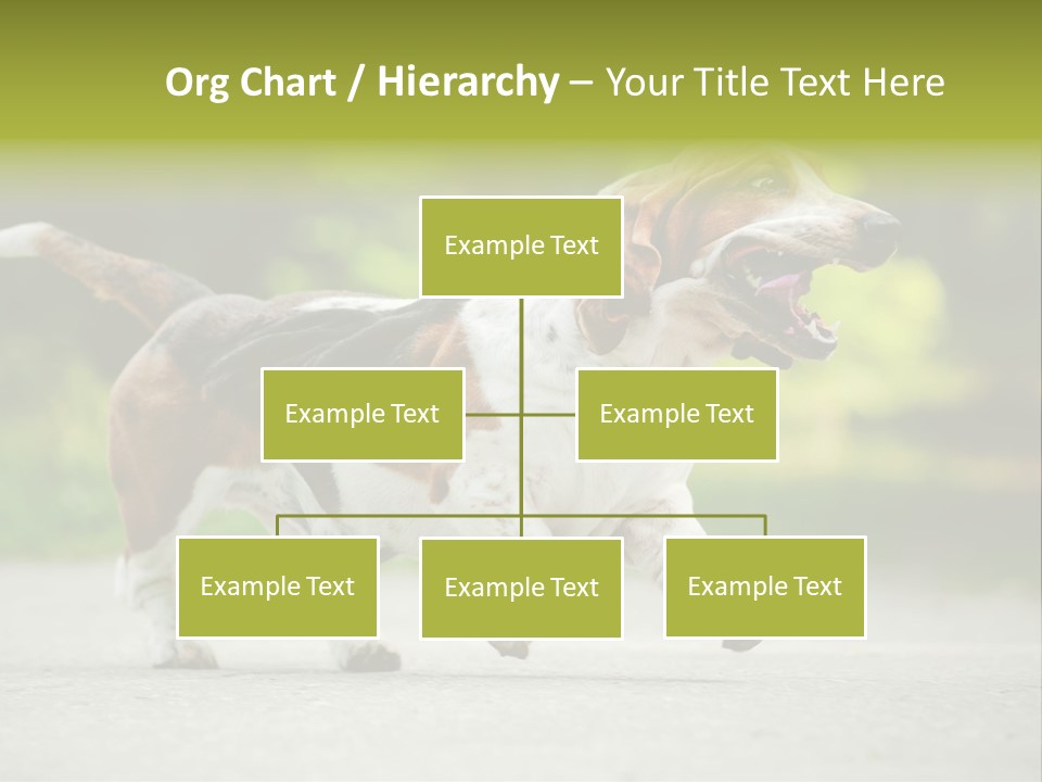 Park Leaf New PowerPoint Template