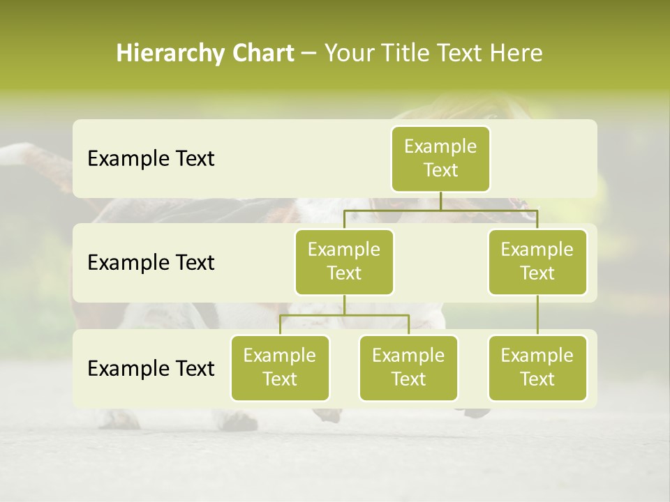 Park Leaf New PowerPoint Template