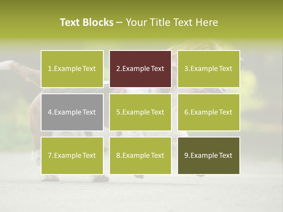 Park Leaf New PowerPoint Template