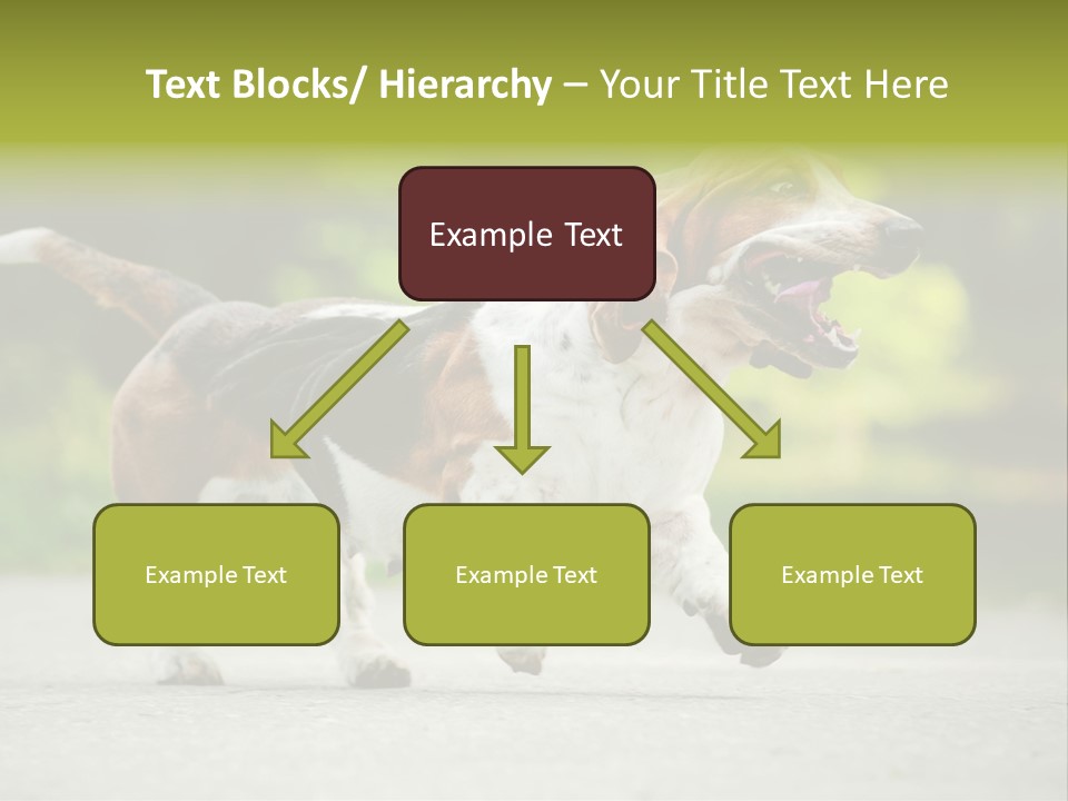 Park Leaf New PowerPoint Template