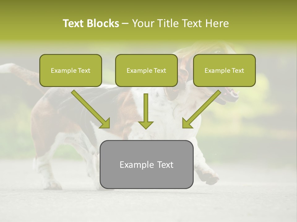 Park Leaf New PowerPoint Template