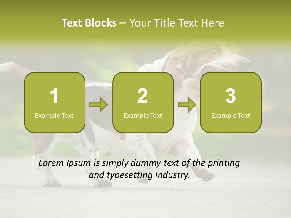 Park Leaf New PowerPoint Template