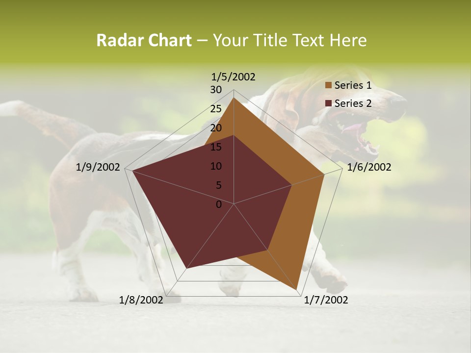 Park Leaf New PowerPoint Template