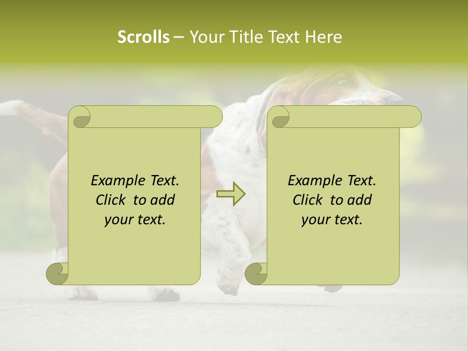 Park Leaf New PowerPoint Template
