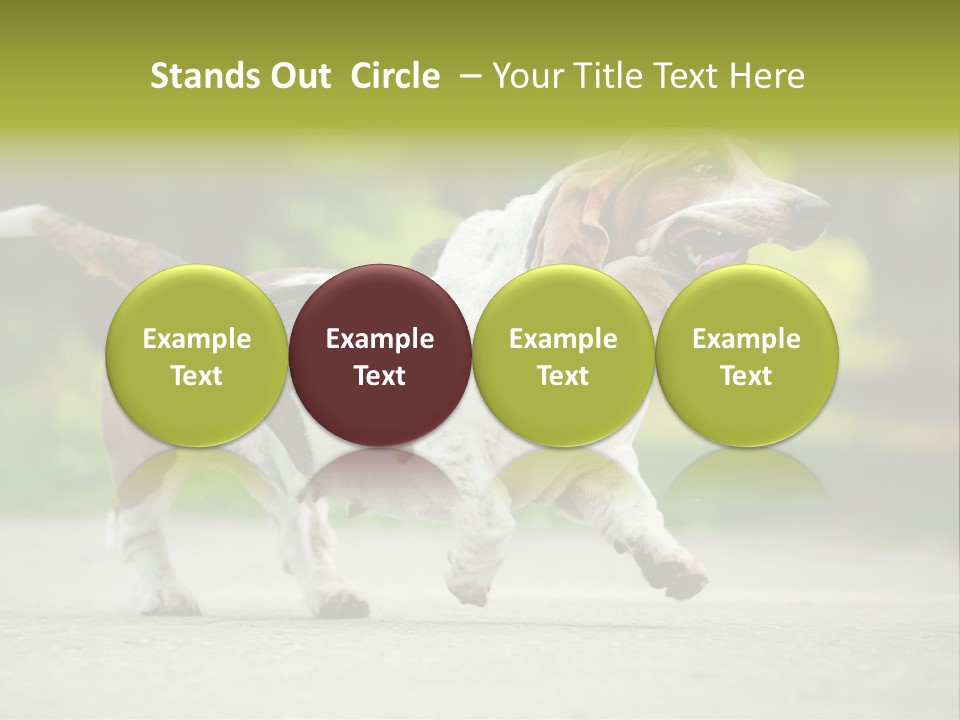 Park Leaf New PowerPoint Template