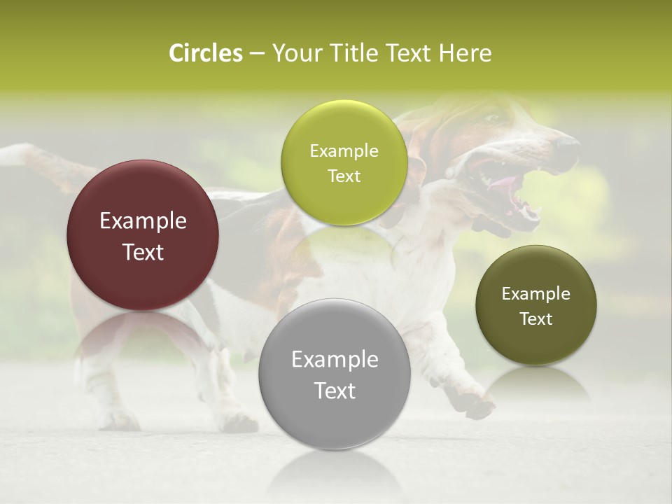 Park Leaf New PowerPoint Template