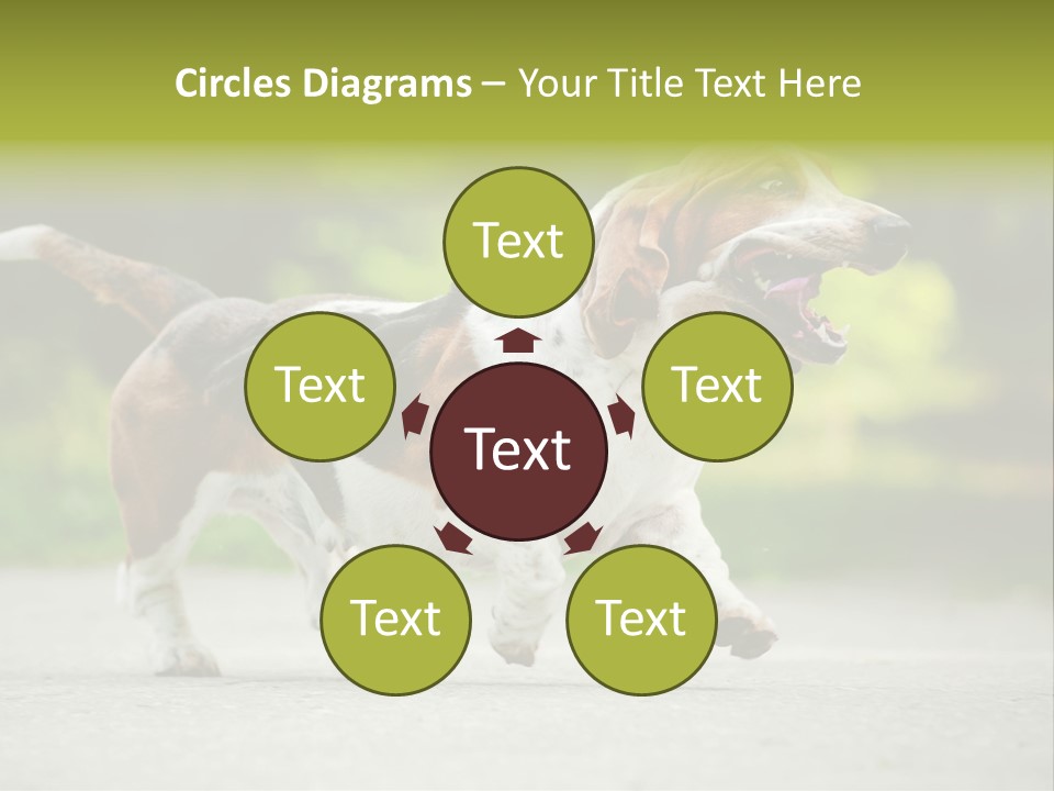 Park Leaf New PowerPoint Template