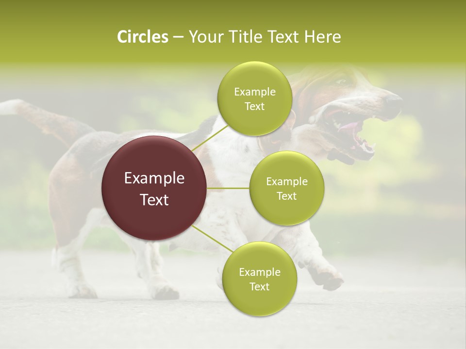 Park Leaf New PowerPoint Template