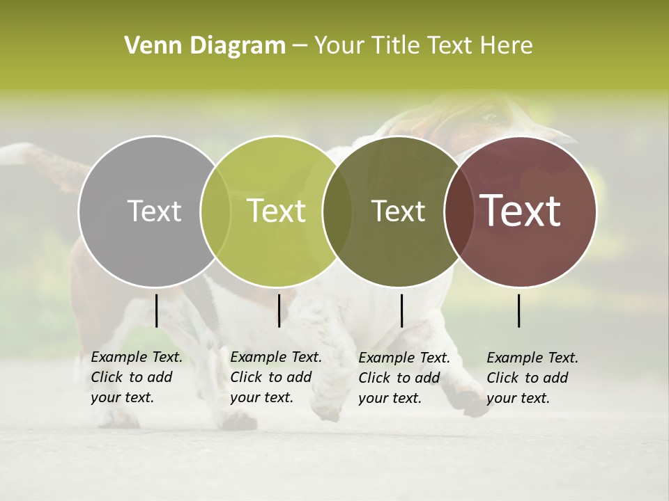 Park Leaf New PowerPoint Template