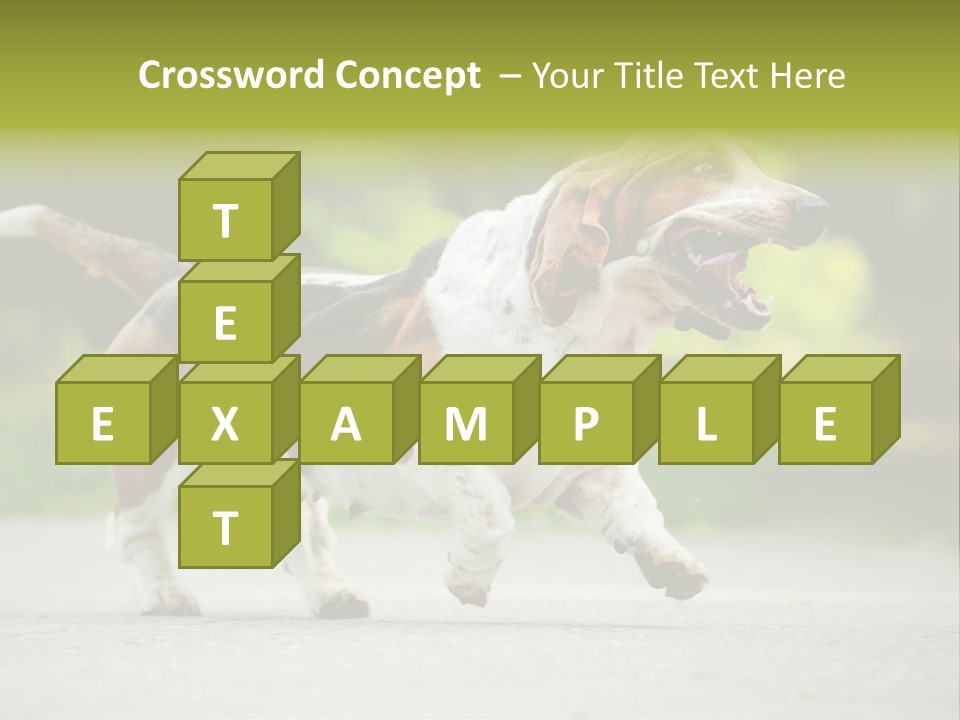 Park Leaf New PowerPoint Template