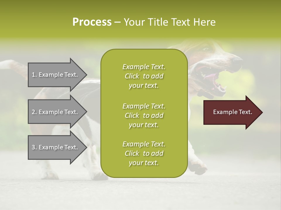 Park Leaf New PowerPoint Template