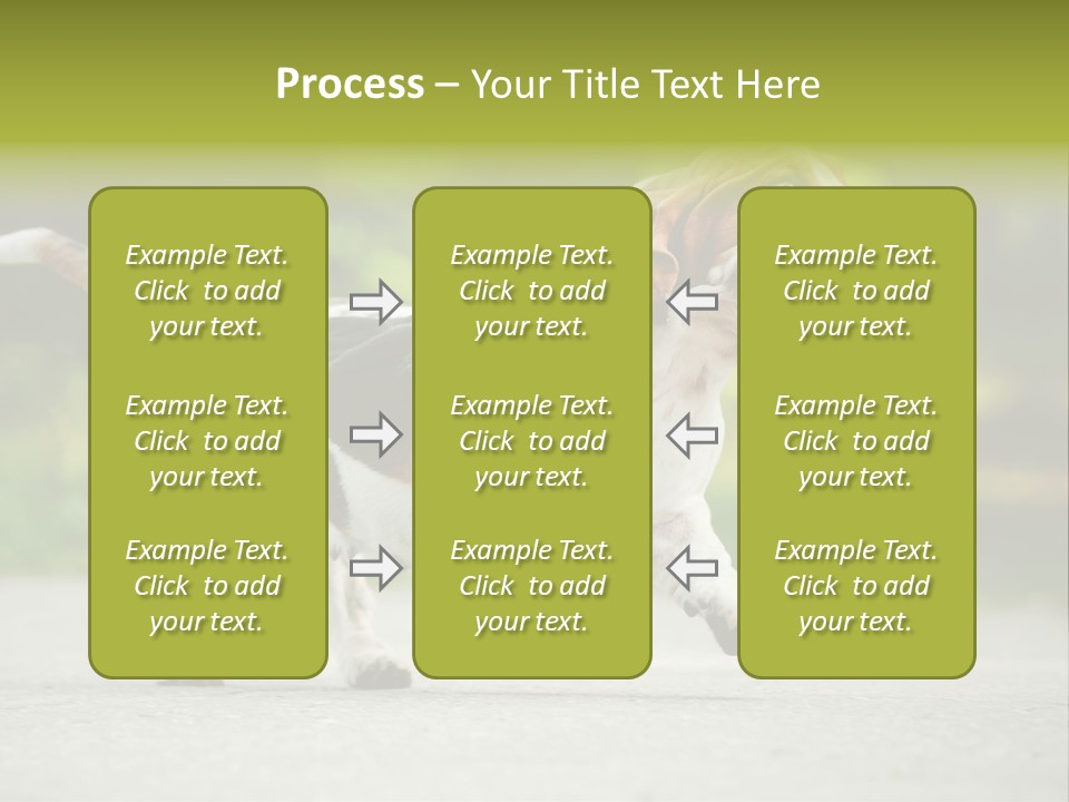 Park Leaf New PowerPoint Template