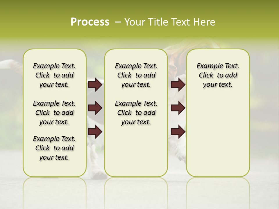 Park Leaf New PowerPoint Template