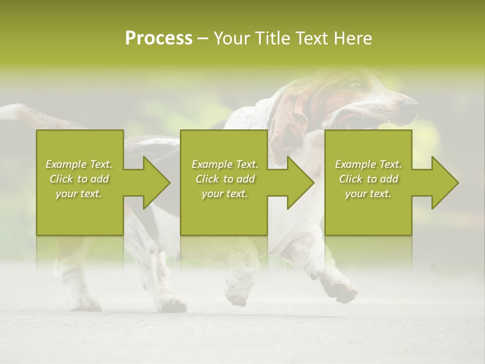 Park Leaf New PowerPoint Template