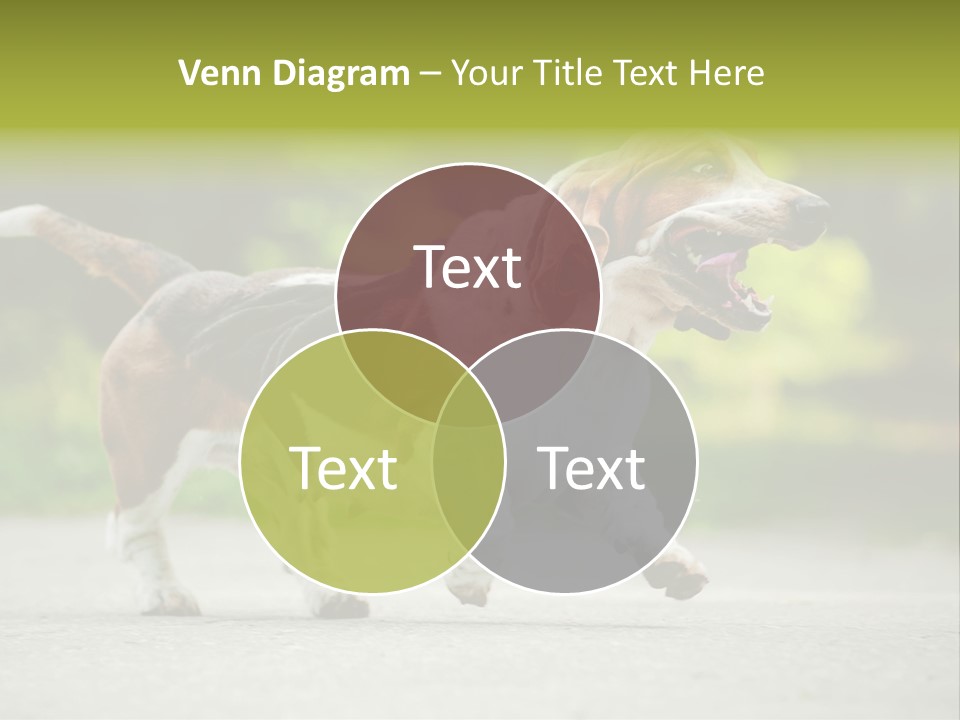 Park Leaf New PowerPoint Template