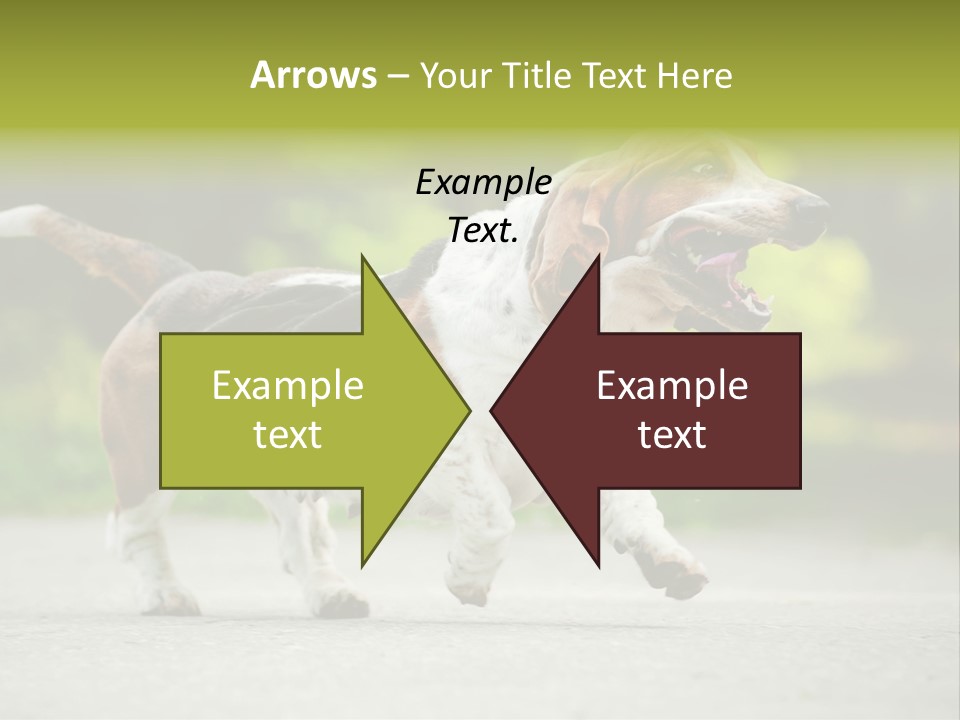 Park Leaf New PowerPoint Template