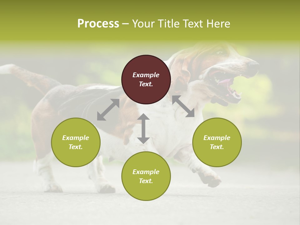 Park Leaf New PowerPoint Template