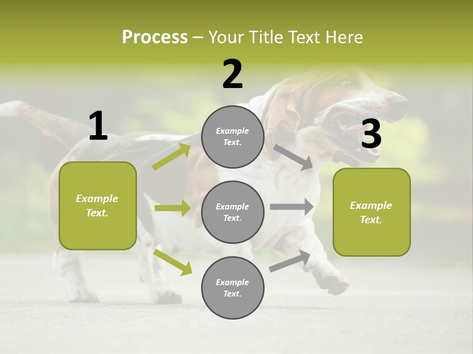 Park Leaf New PowerPoint Template