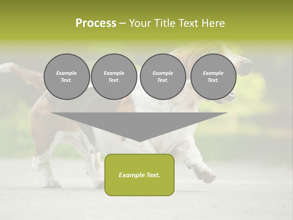 Park Leaf New PowerPoint Template