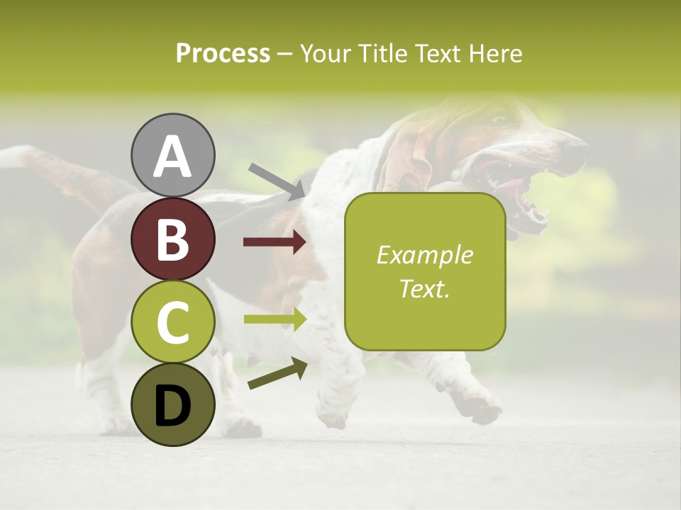 Park Leaf New PowerPoint Template