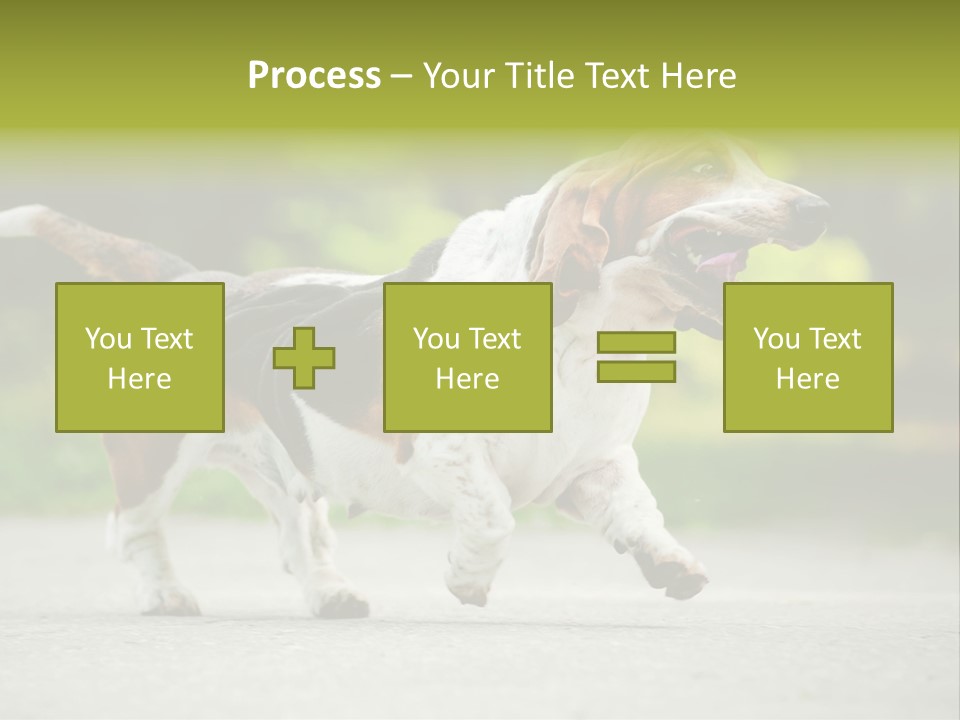 Park Leaf New PowerPoint Template