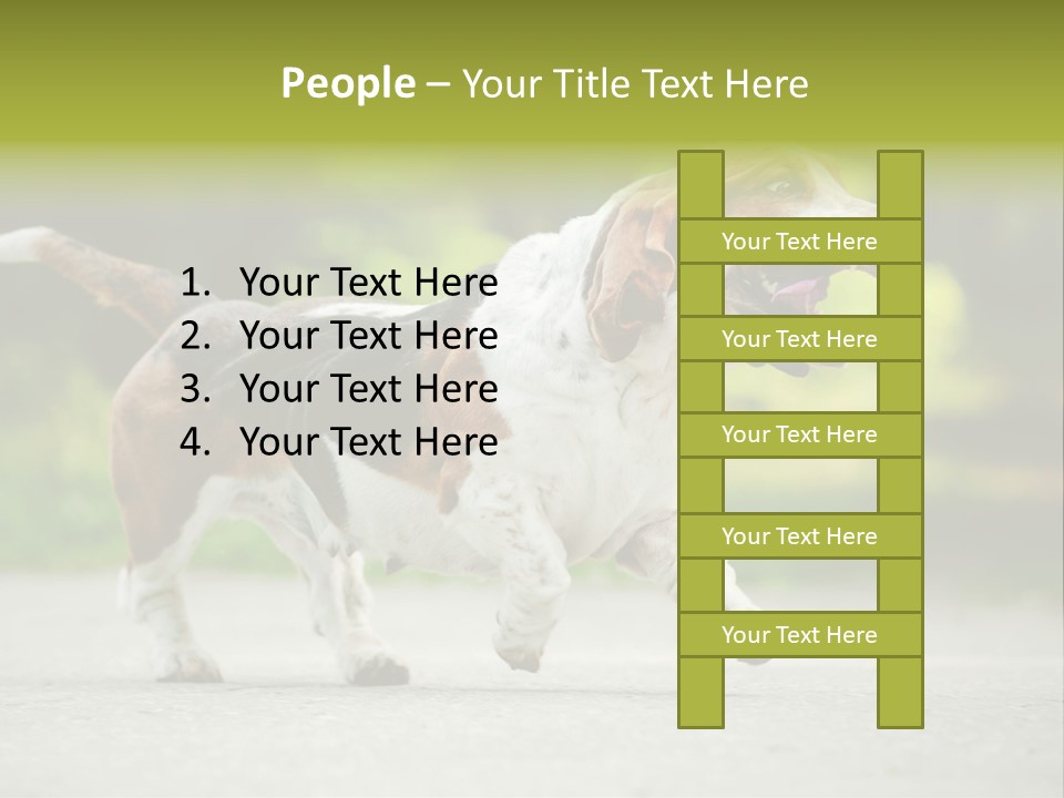 Park Leaf New PowerPoint Template