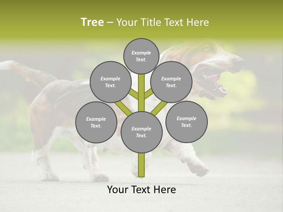 Park Leaf New PowerPoint Template