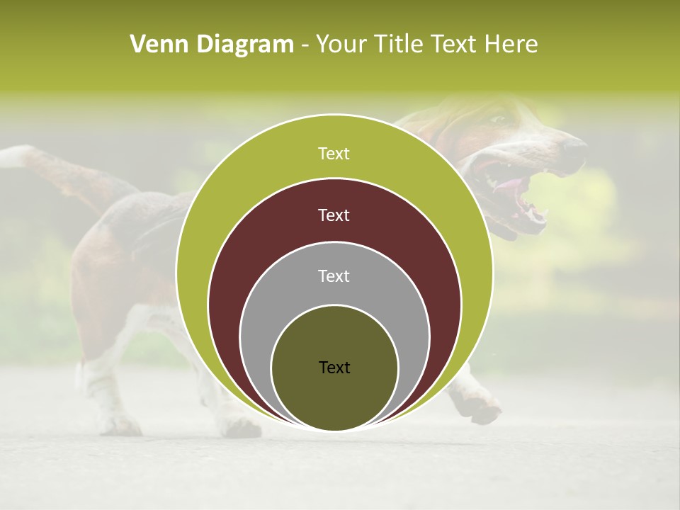 Park Leaf New PowerPoint Template