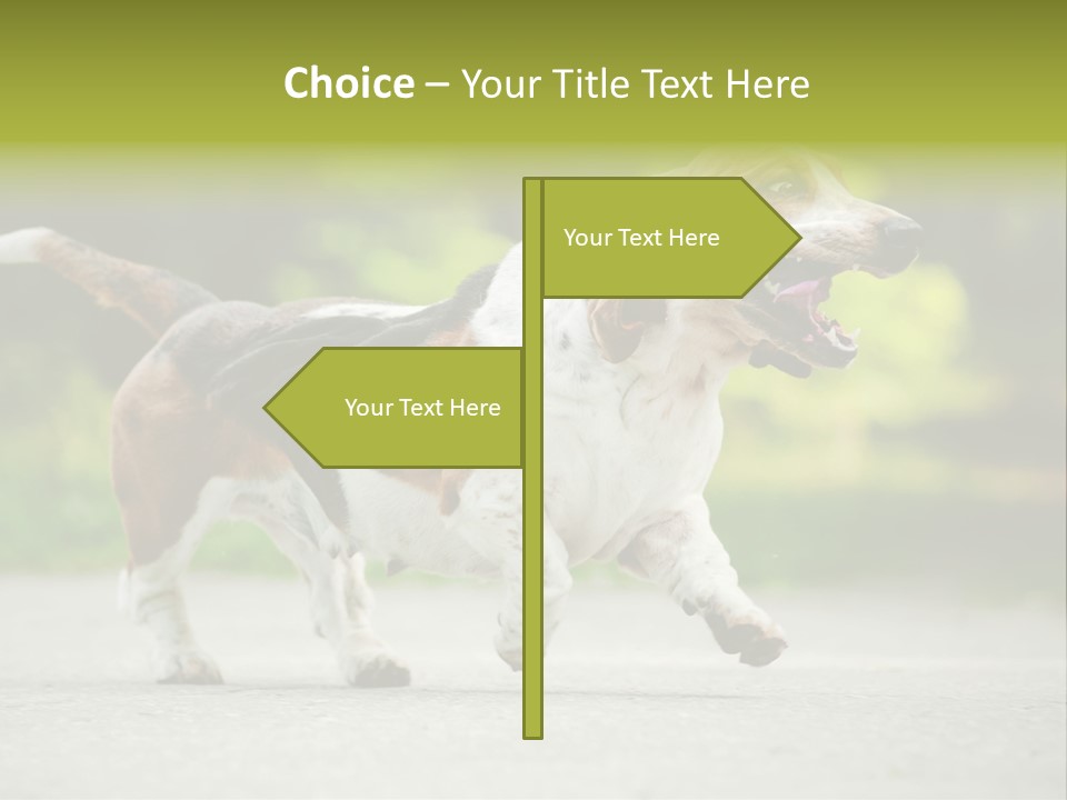 Park Leaf New PowerPoint Template