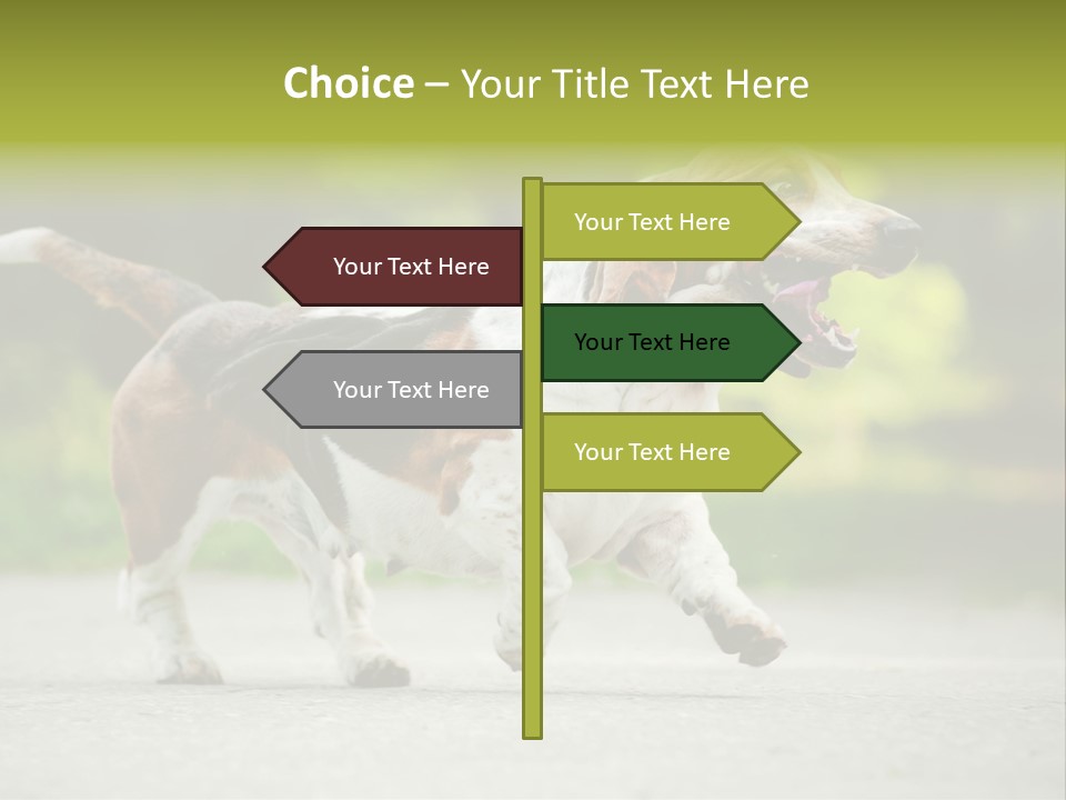 Park Leaf New PowerPoint Template