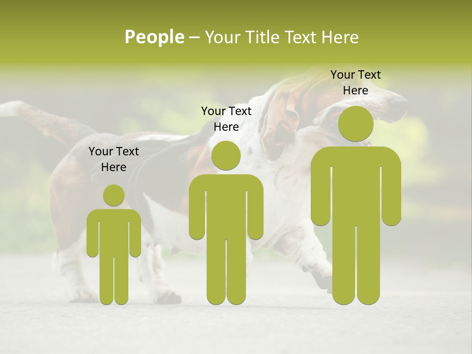 Park Leaf New PowerPoint Template