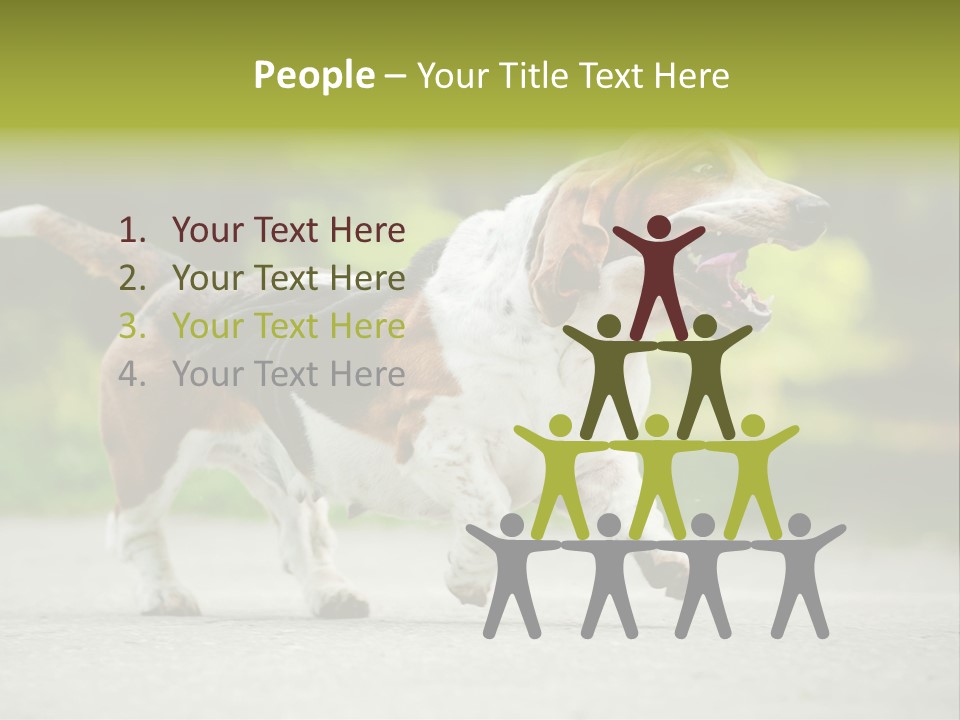 Park Leaf New PowerPoint Template